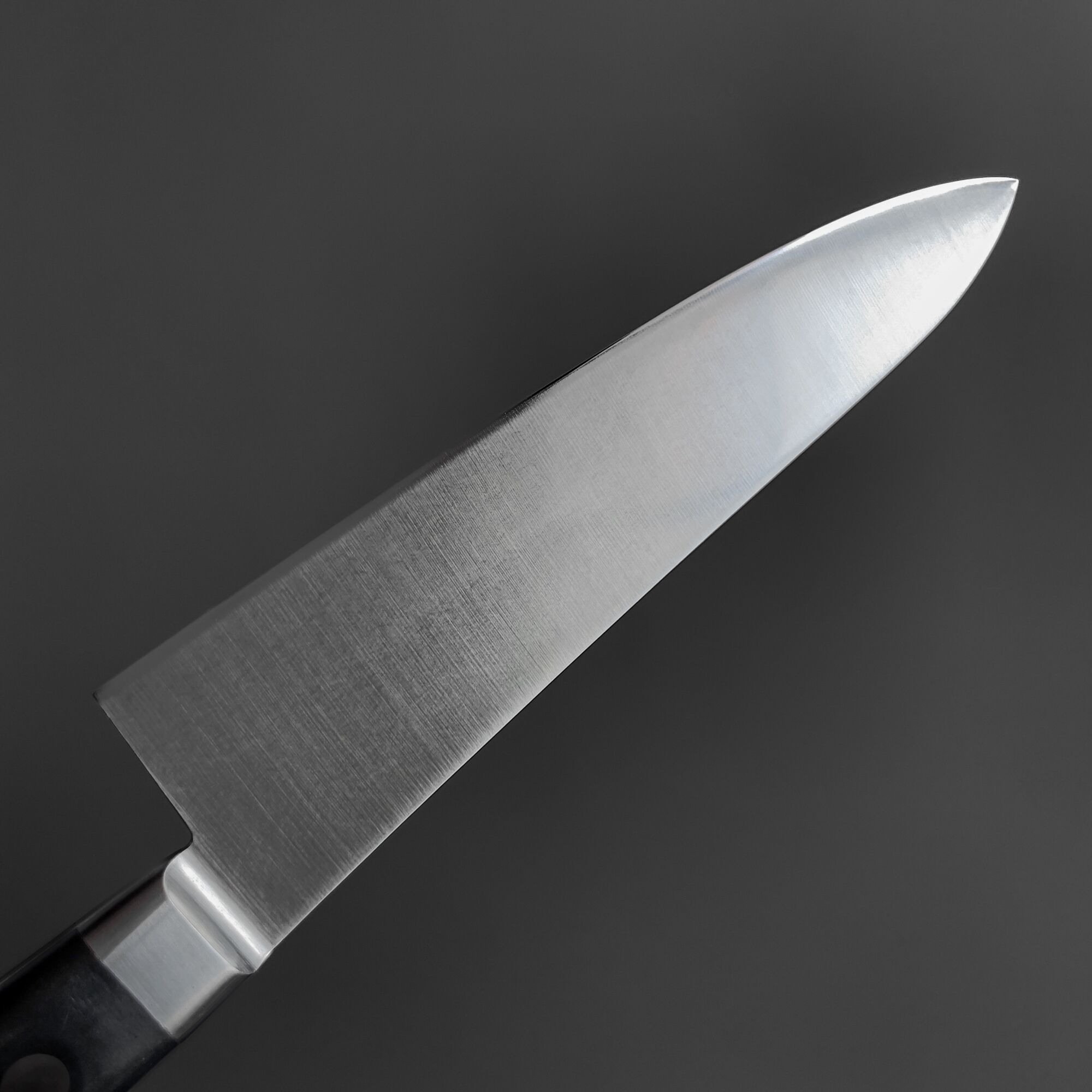 Cuchillo Japonés Gyuto/Chef Acero Sueco 210mm - Sakai Takayuki Grand Chef SP